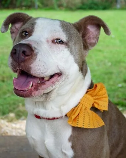 Pebbles Fka Tula thumbnail 4