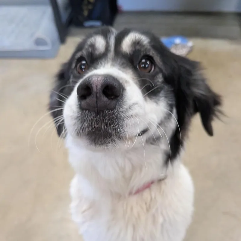 Charlotte thumbnail 2