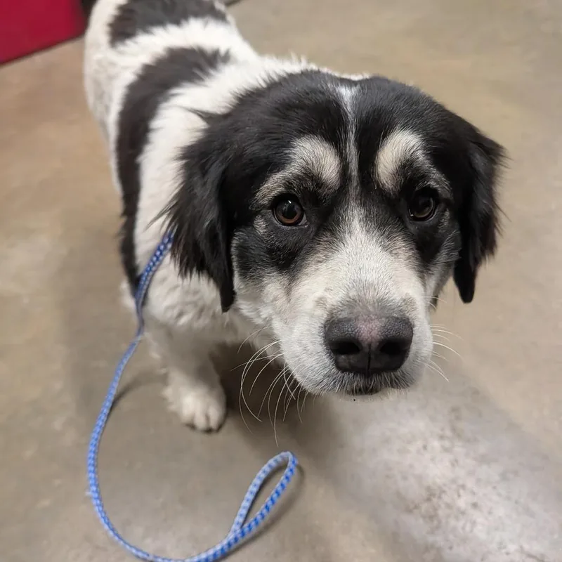 Charlotte thumbnail 3