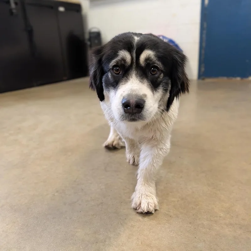 Charlotte thumbnail 4