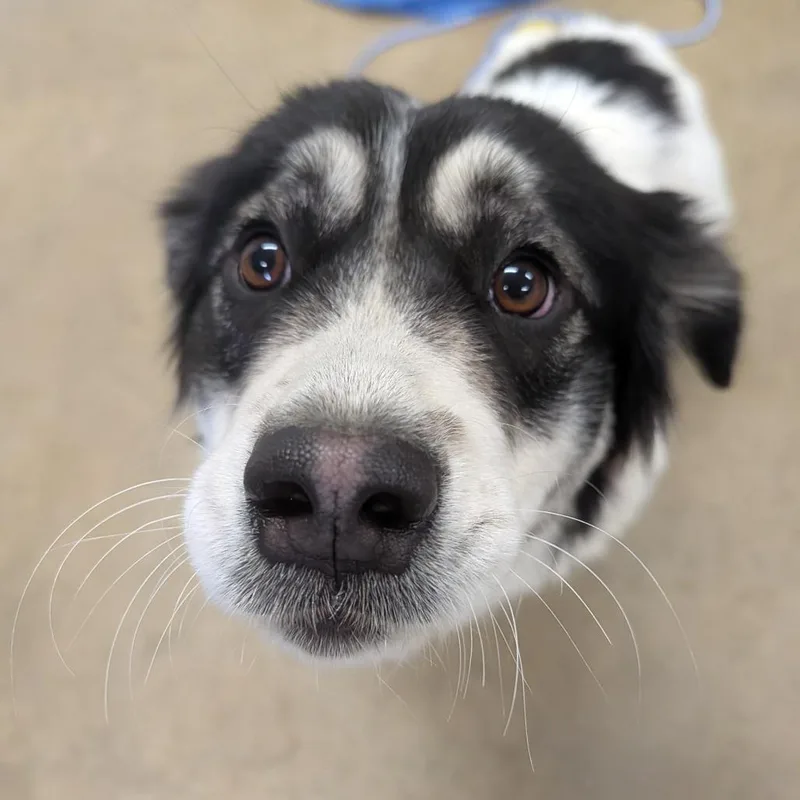 Charlotte thumbnail 5