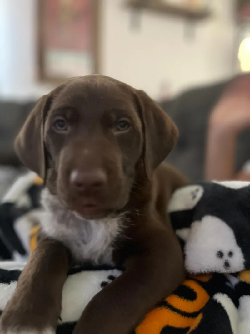 Teddy  Jamie & thumbnail 3