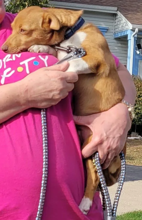 Smokey Aka Scout thumbnail 2