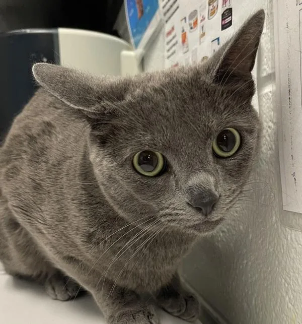 Smudge
