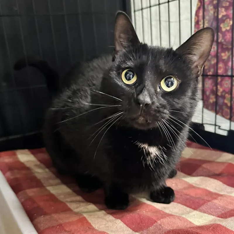 Jenna Lr thumbnail 2