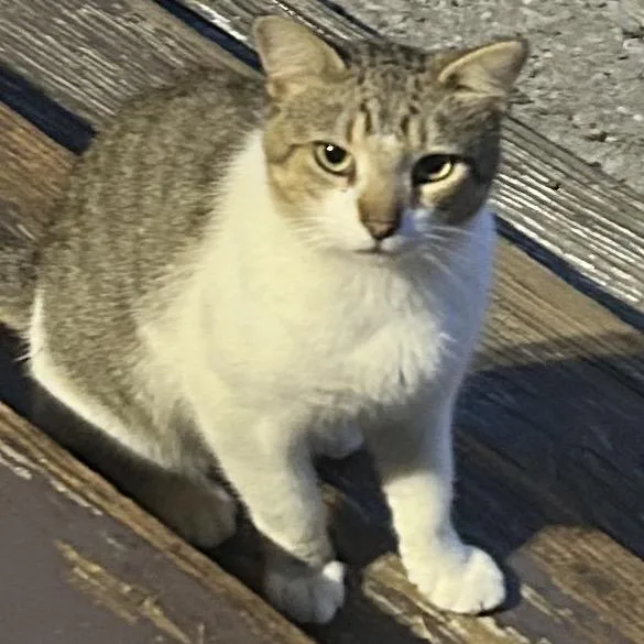 Bill
