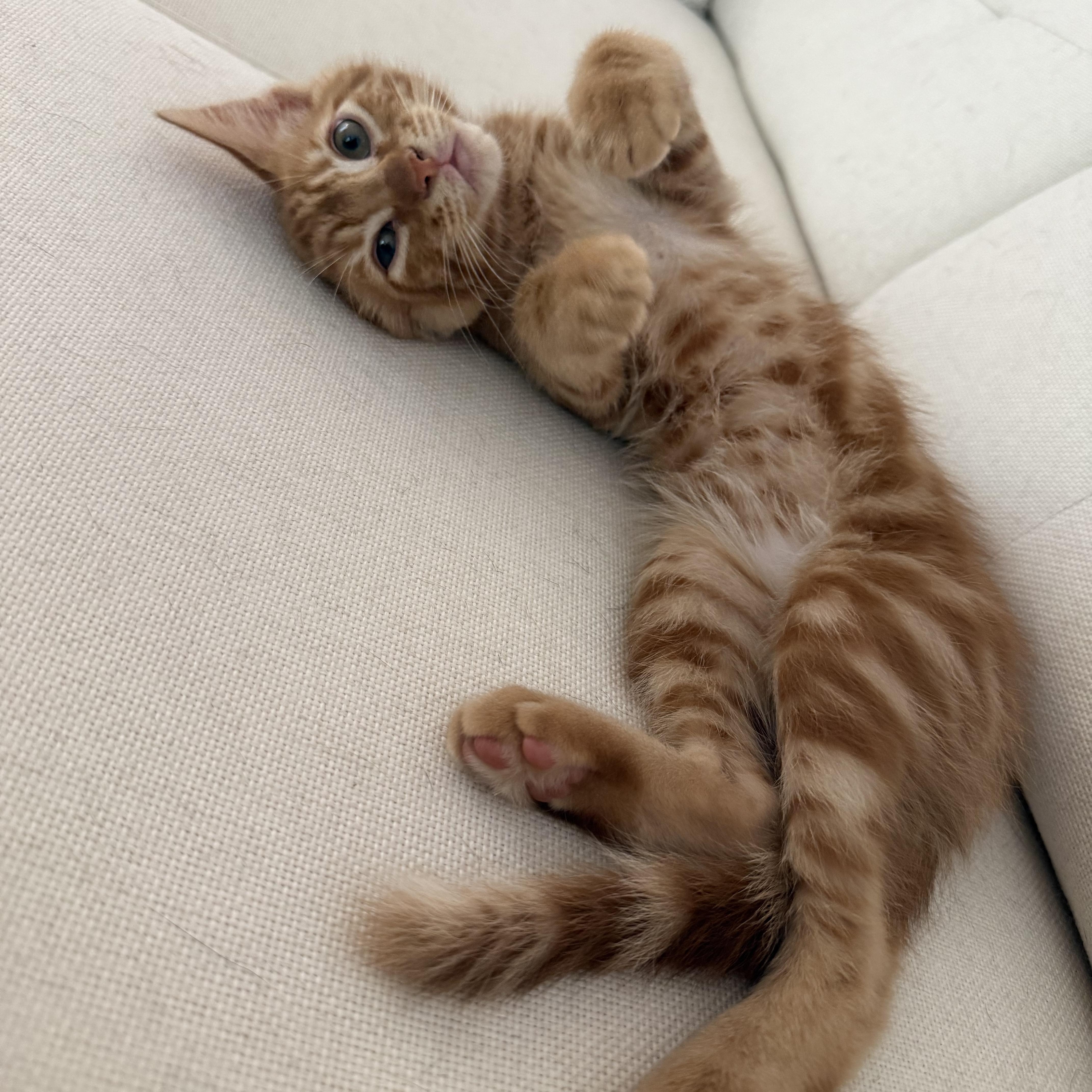 Copper