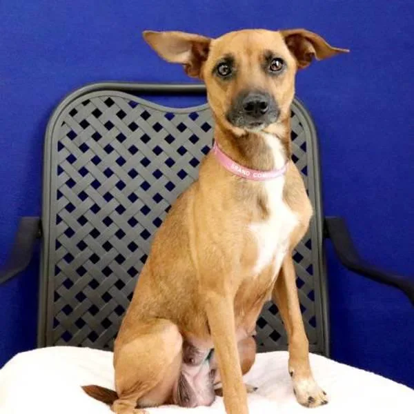 Miss Fitt thumbnail 2