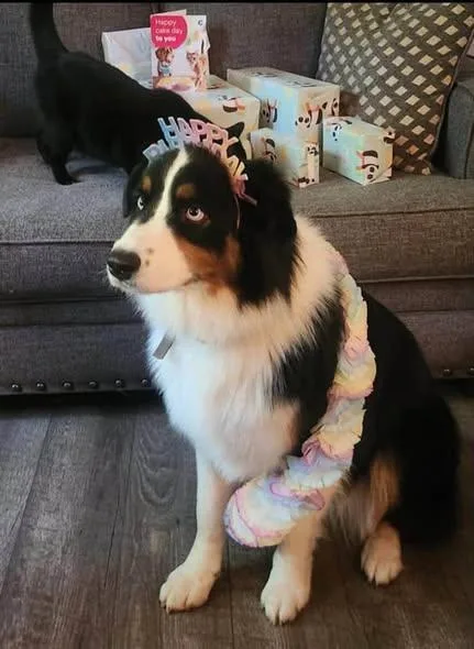 Cora Jane