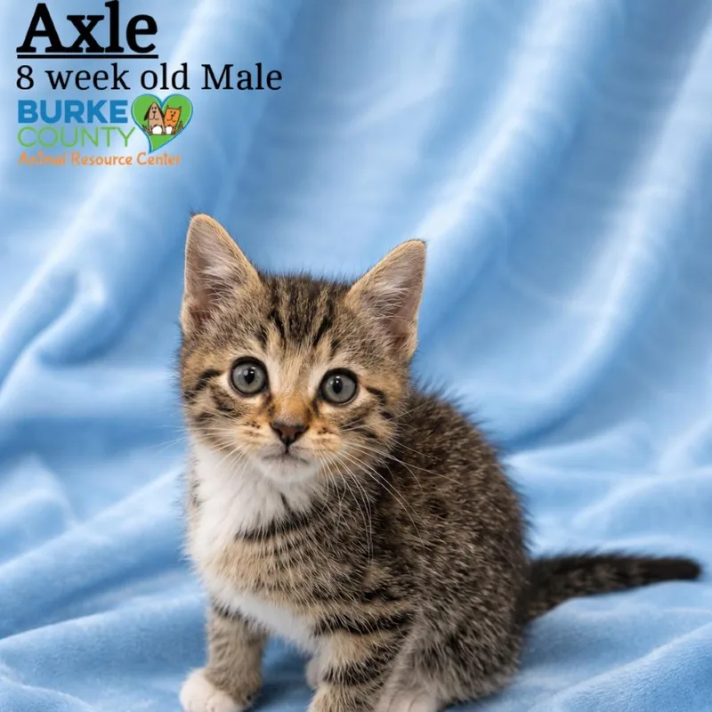 Axle thumbnail 2