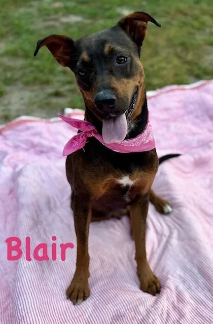 Blair