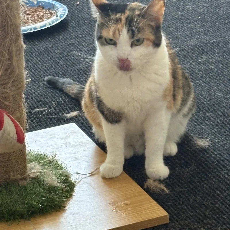 Mama
