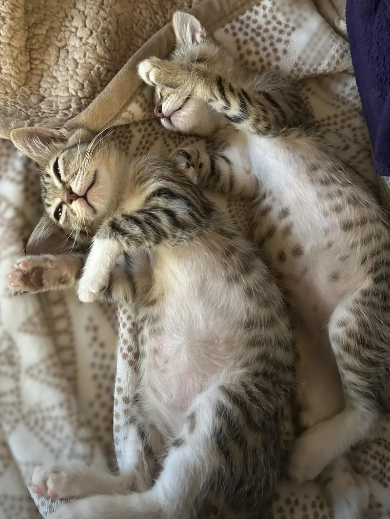 Gigi and Gracie thumbnail 2