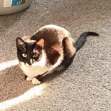 Marble