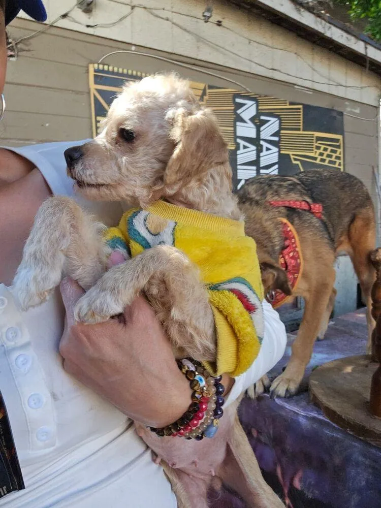 Fiorella thumbnail 6