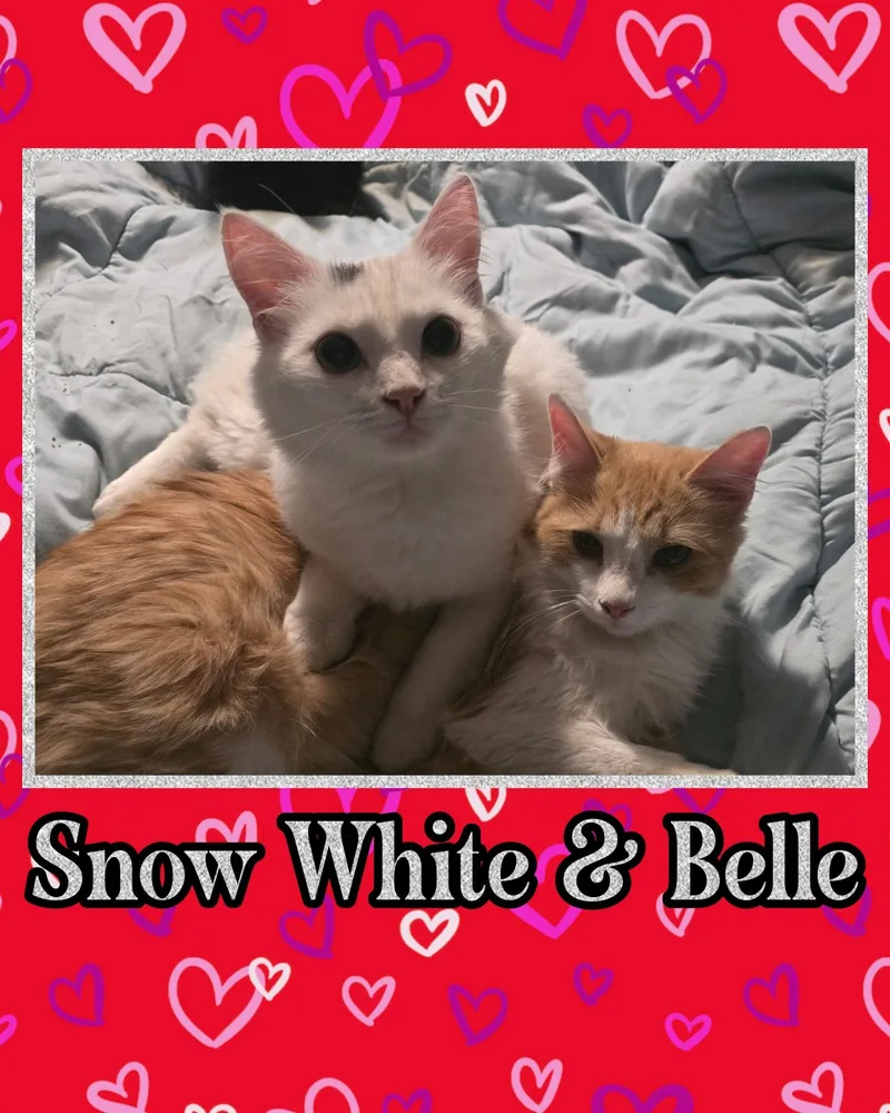 Snow White And Belle