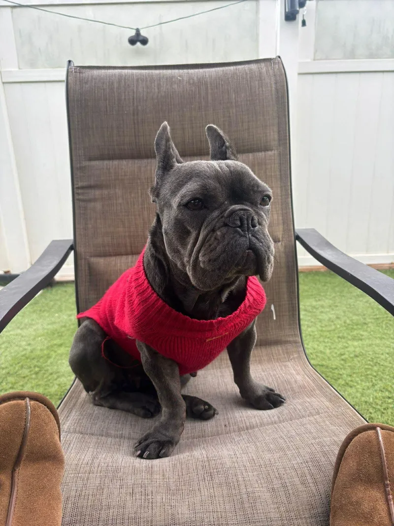 Sunshine thumbnail 5