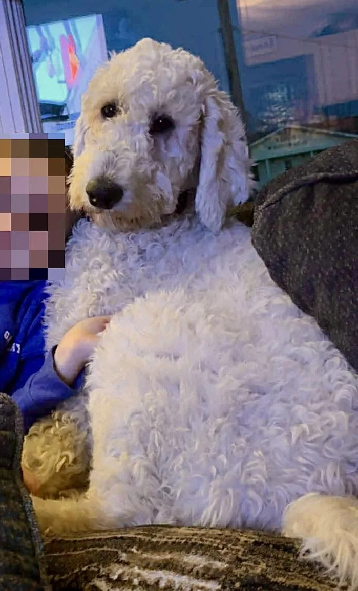 Lucy  Wmn thumbnail 2