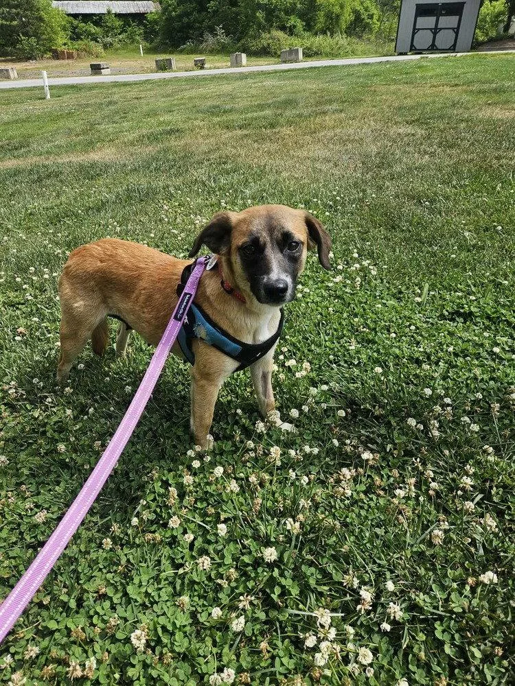 Tiny Tina