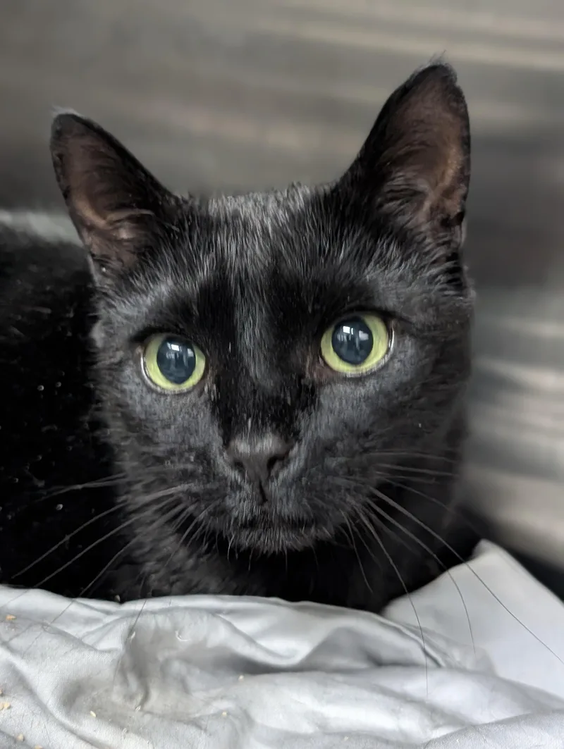 Prometheus thumbnail 2