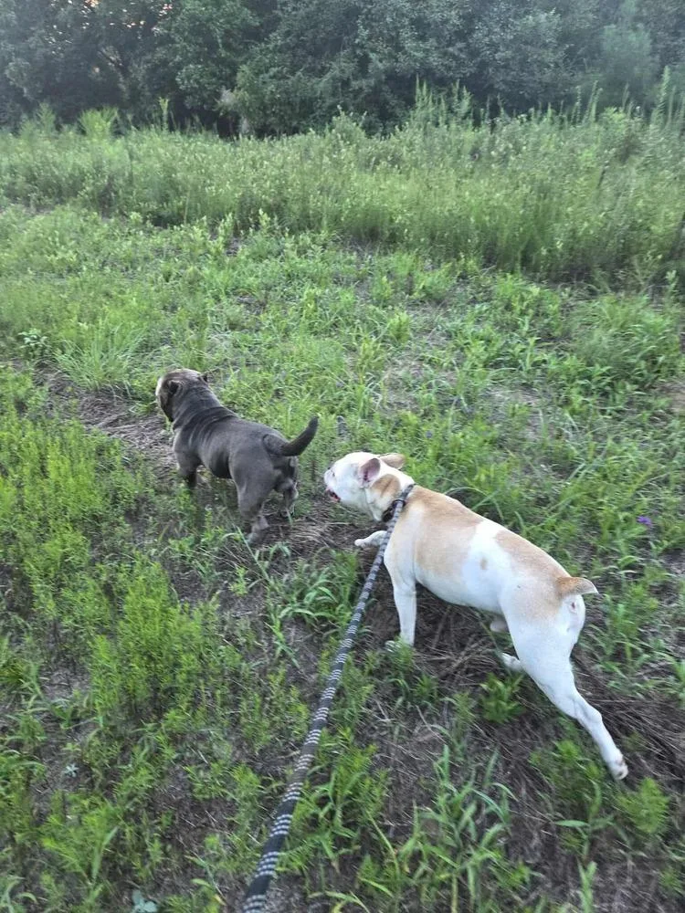 Odie Rogerga thumbnail 4