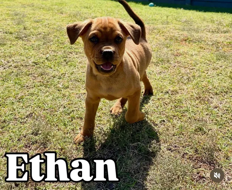 Ethan thumbnail 3