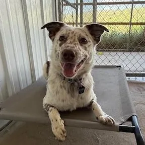 Kenai