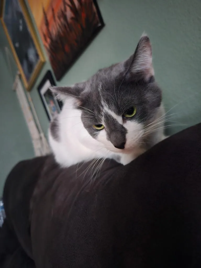 Rosie thumbnail 2