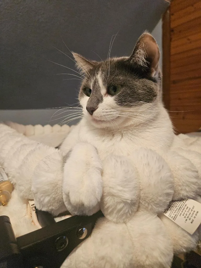 Rosie thumbnail 5