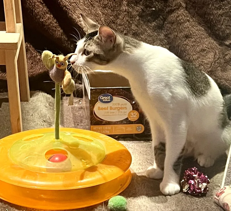 Gold Dust And Dream thumbnail 2