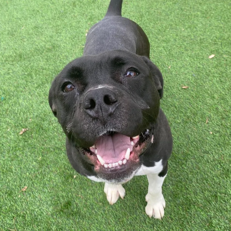 It's Not Just A thumbnail 2