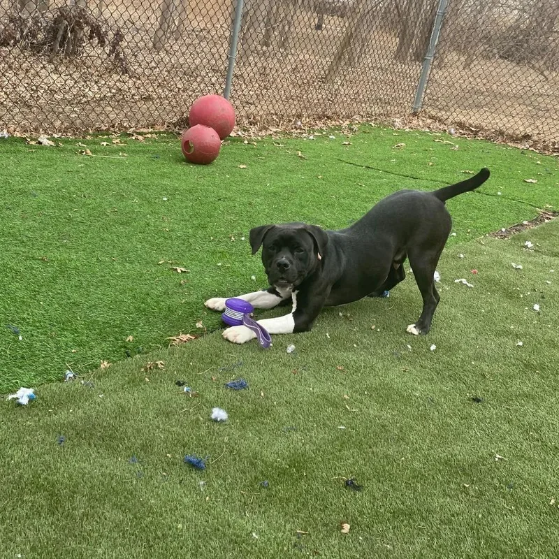 It's Not Just A thumbnail 3