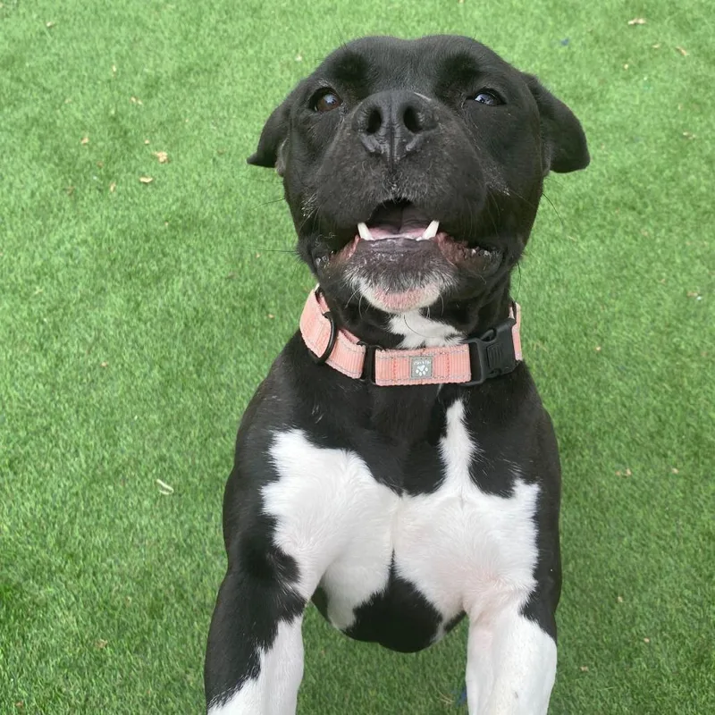 It's Not Just A thumbnail 4