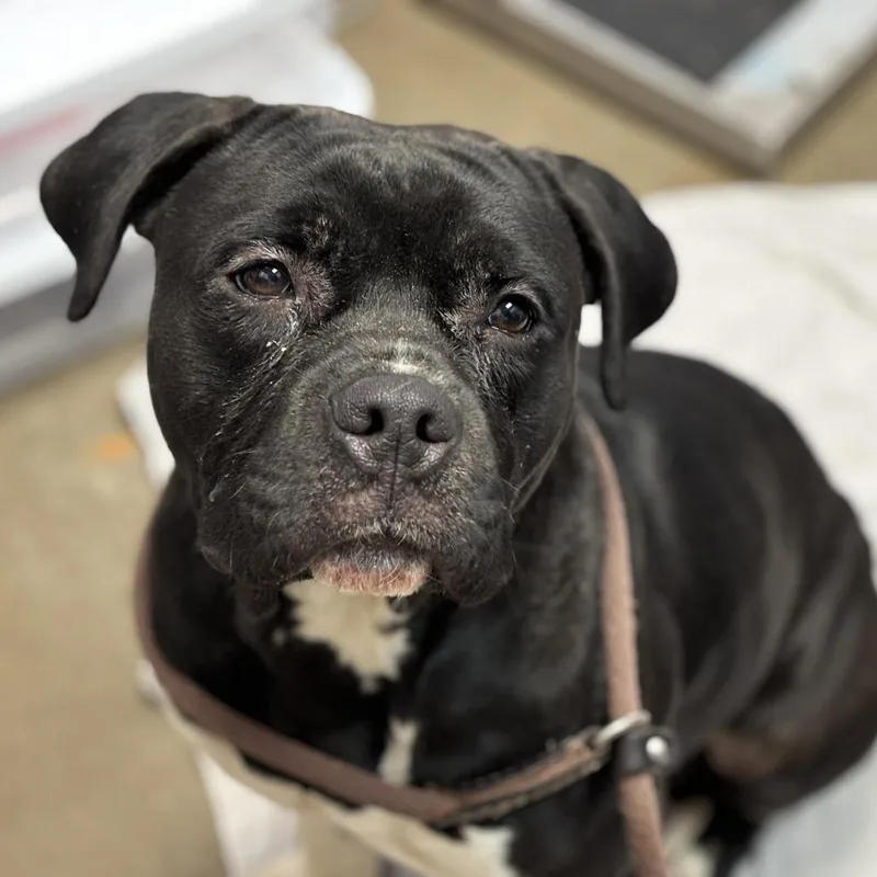 It's Not Just A thumbnail 5