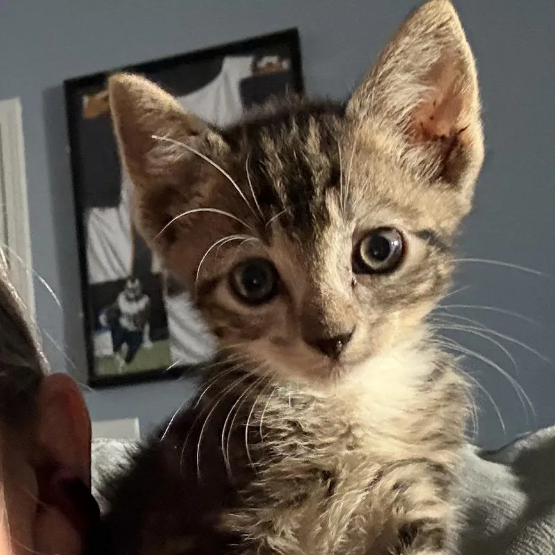 Ernie thumbnail 3