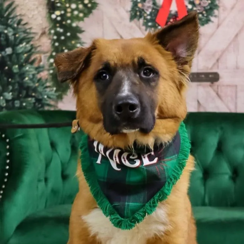 Cashduke thumbnail 2