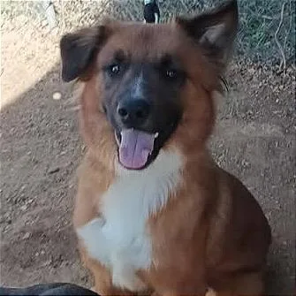 Cashduke thumbnail 3