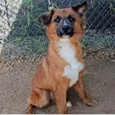 Cashduke thumbnail 4