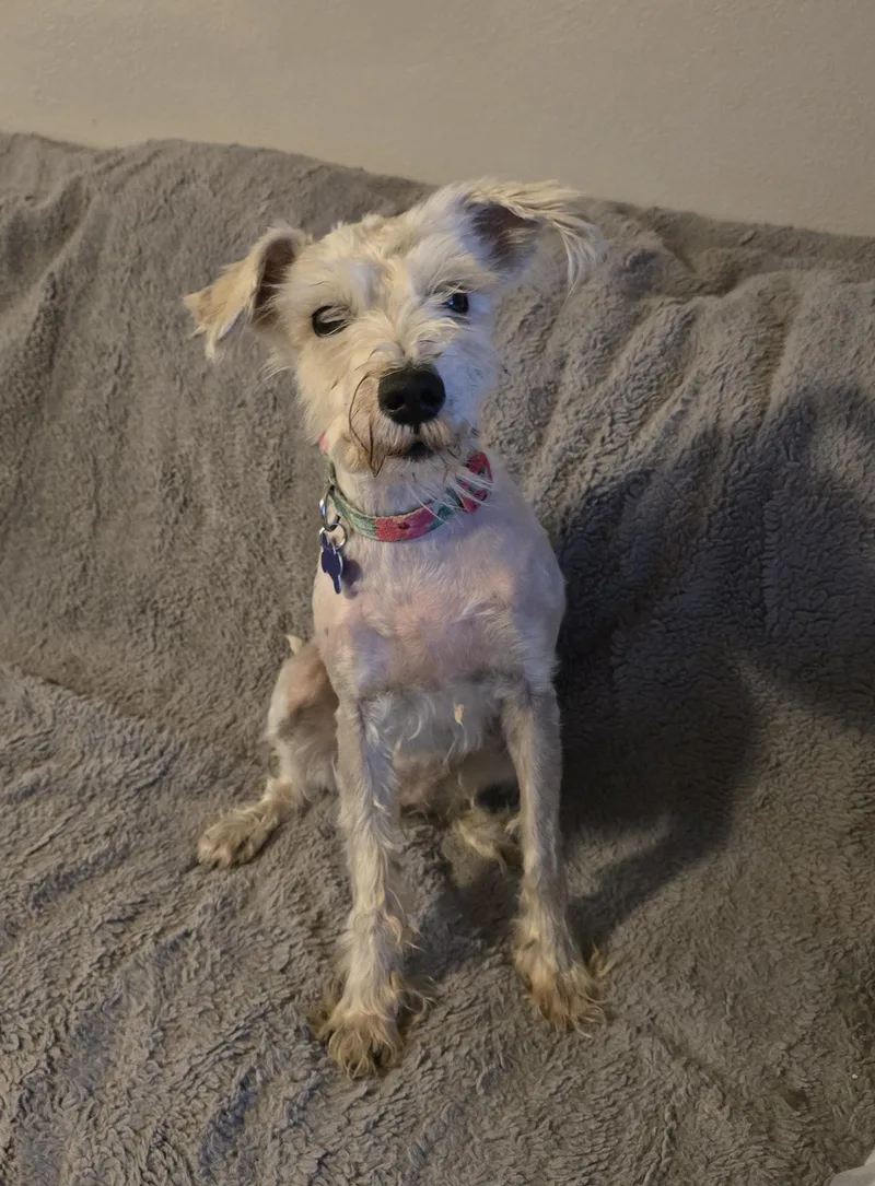 Gretta