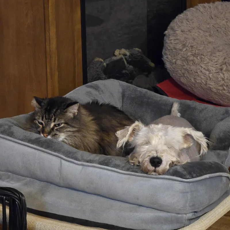 Gretta thumbnail 6