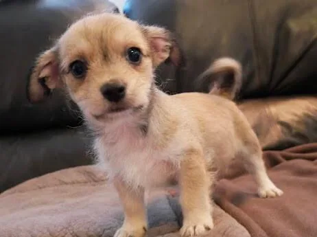 Mushroom thumbnail 5