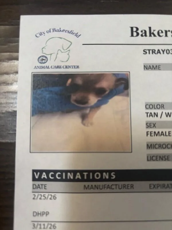 Mushroom thumbnail 6