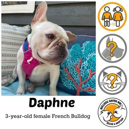 Daphne