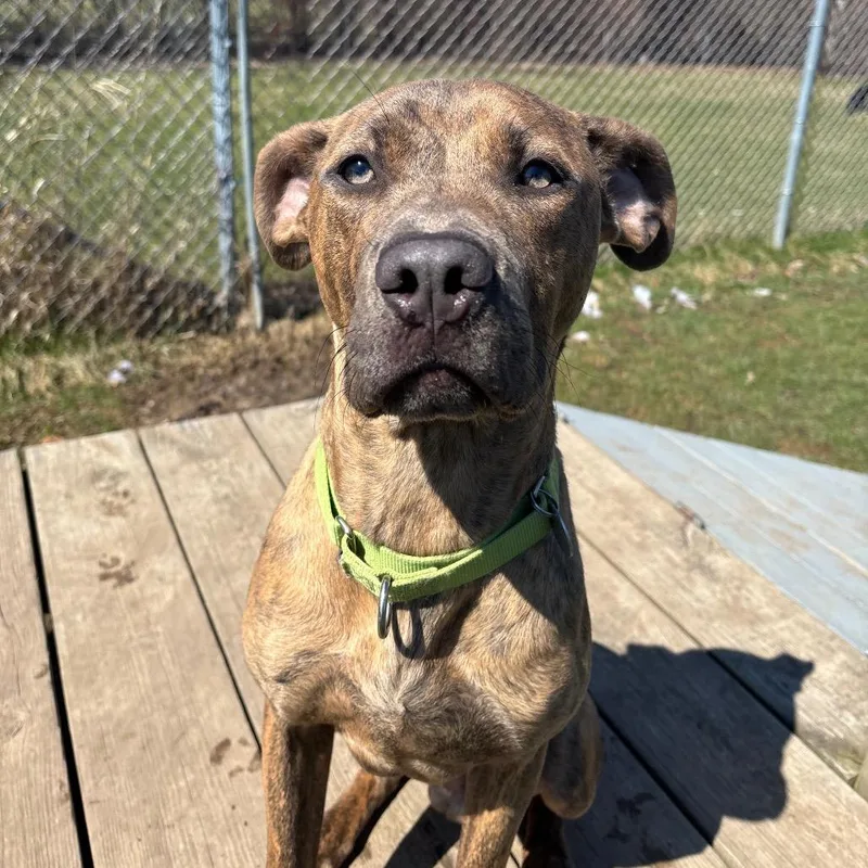 Tompkins thumbnail 3