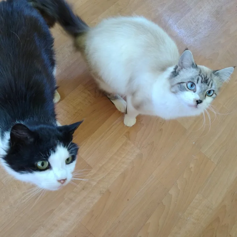 Troy & Basion thumbnail 2