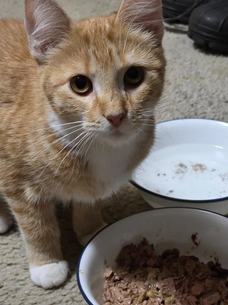 Maisie thumbnail 3