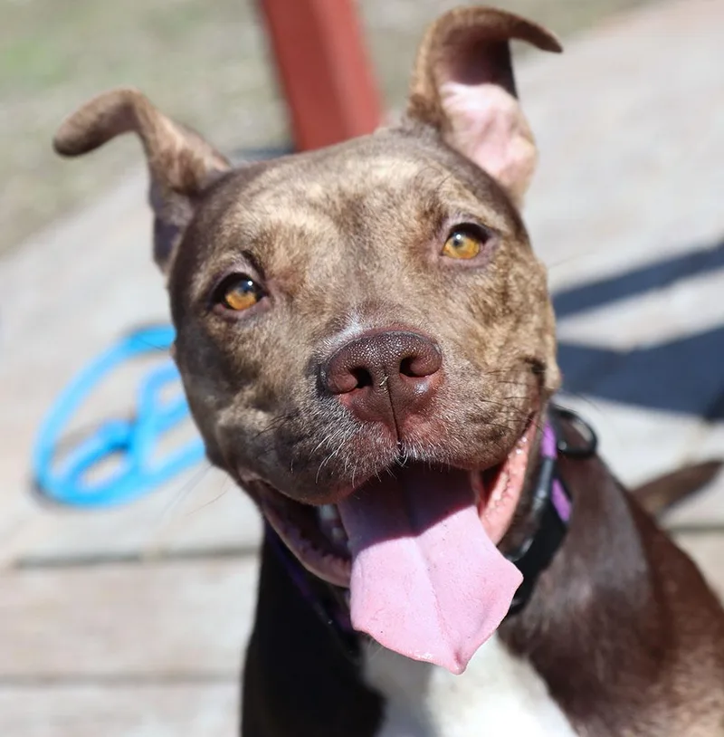 Princess thumbnail 2