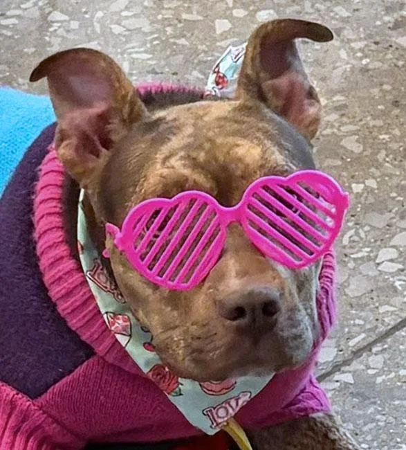 Princess thumbnail 5