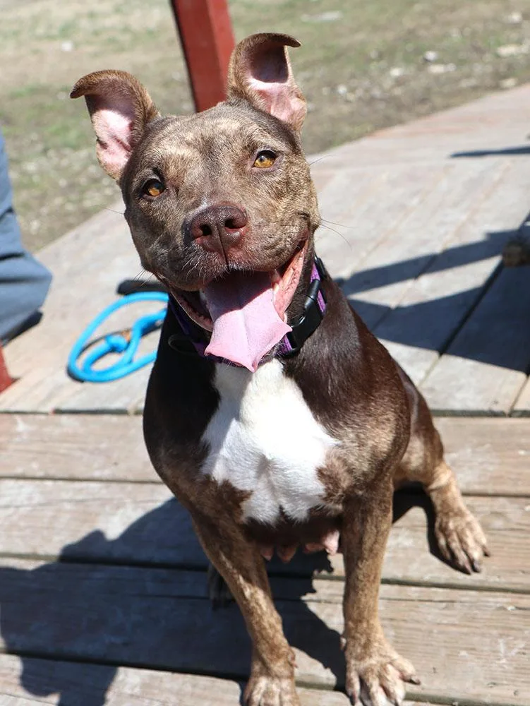 Princess thumbnail 6