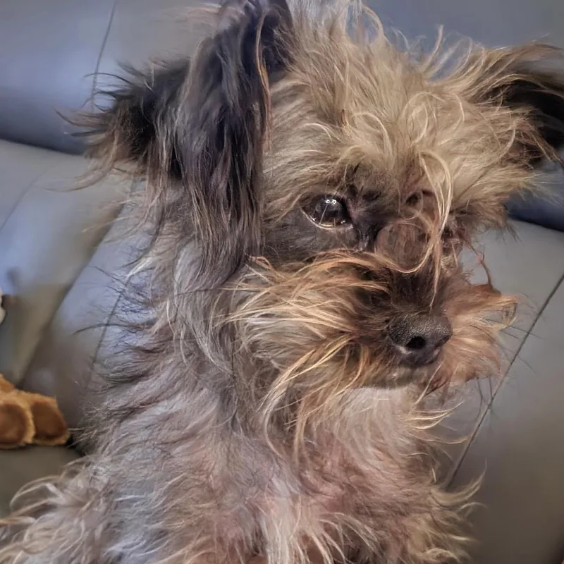 Doby thumbnail 2